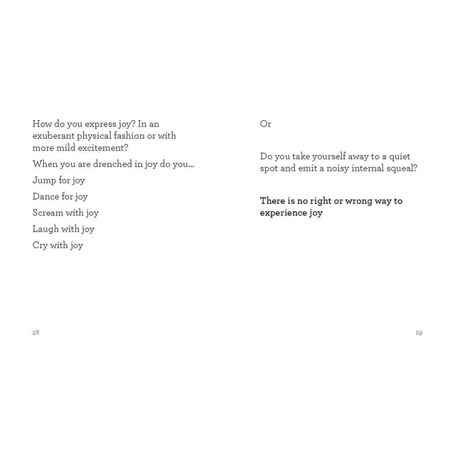 The Little Book Of Joy