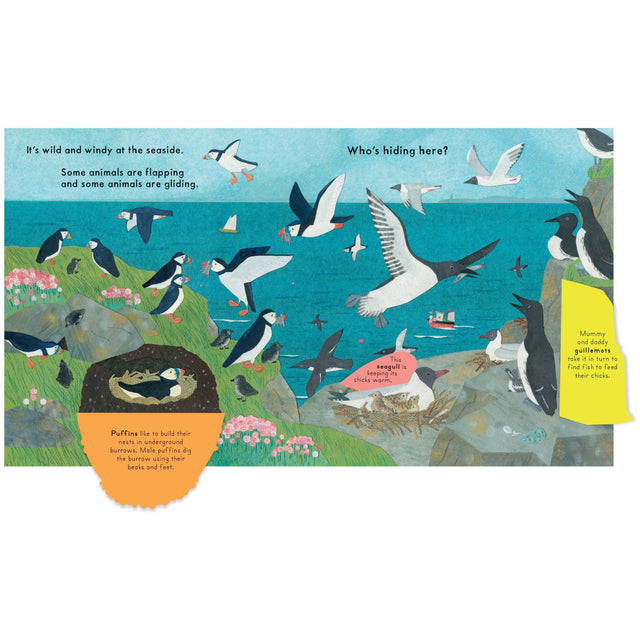 Who's Hiding At The Seaside