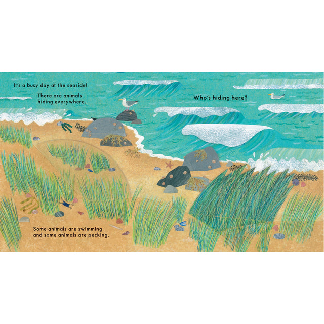 Who's Hiding At The Seaside