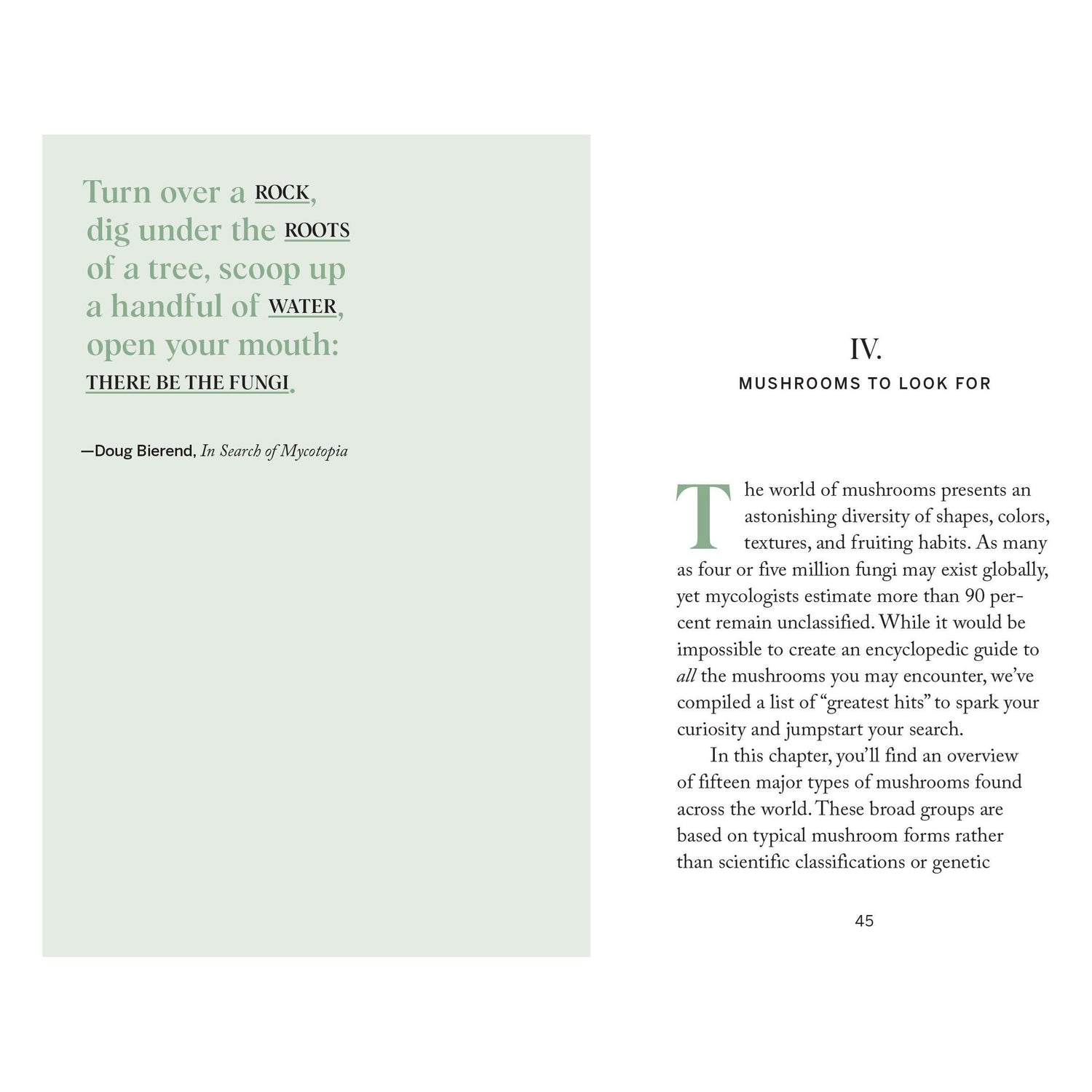 Pocket Nature: Mushroom Hunting