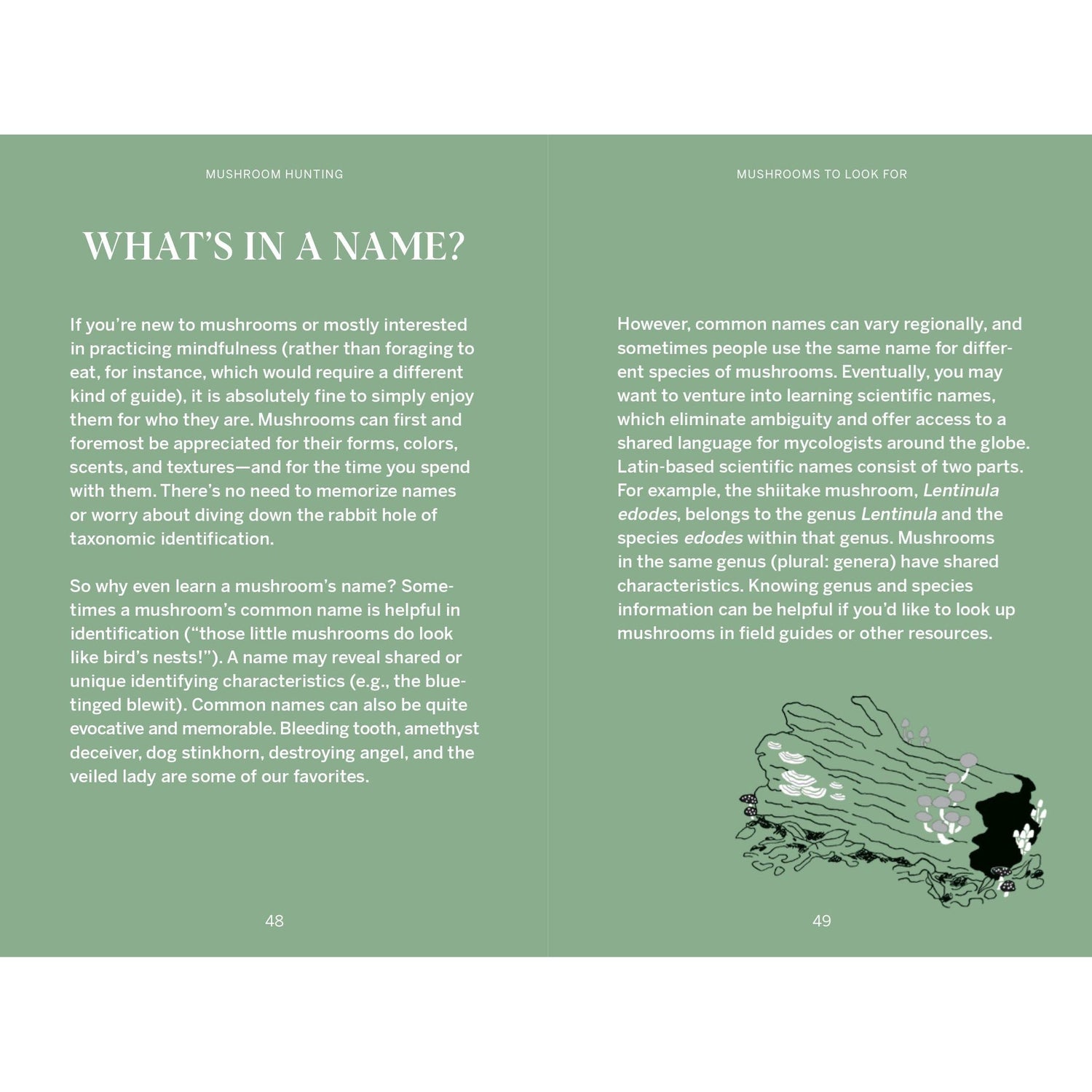 Pocket Nature: Mushroom Hunting