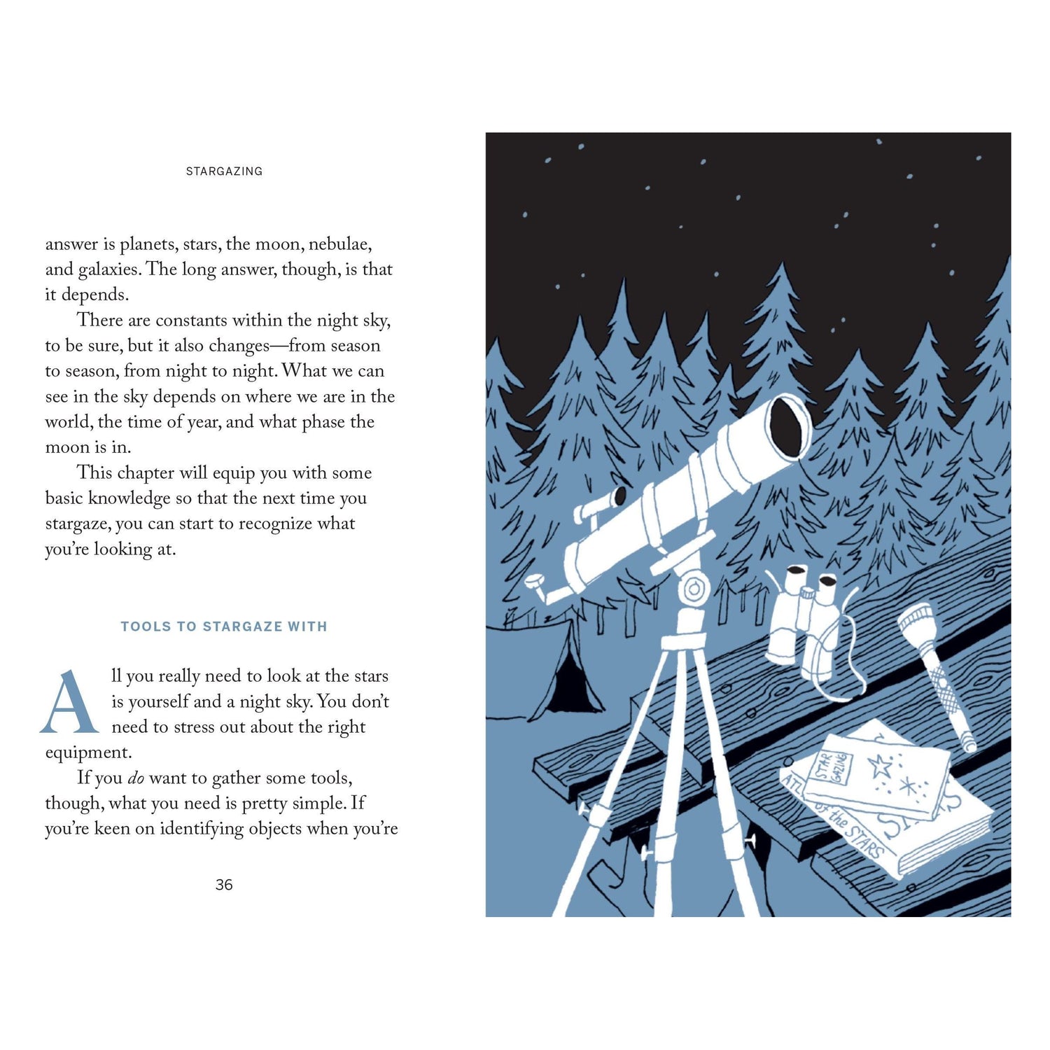 Pocket Nature: Star Gazing
