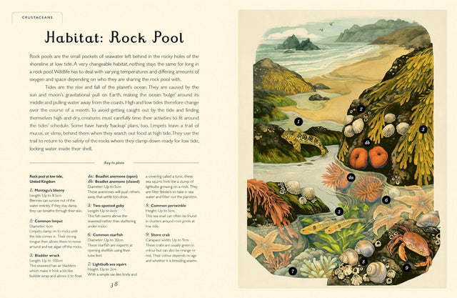 Oceanarium Junior Edition