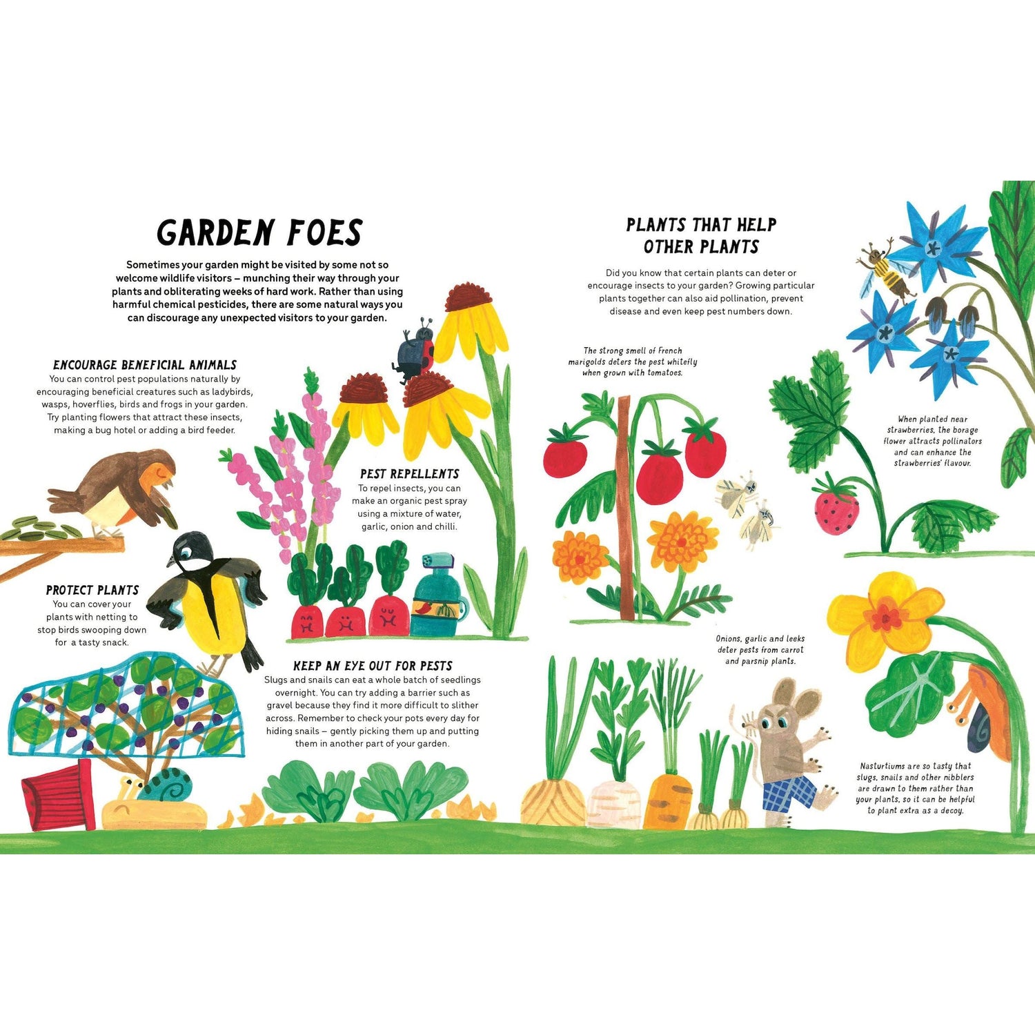 The Little Gardeners Handbook
