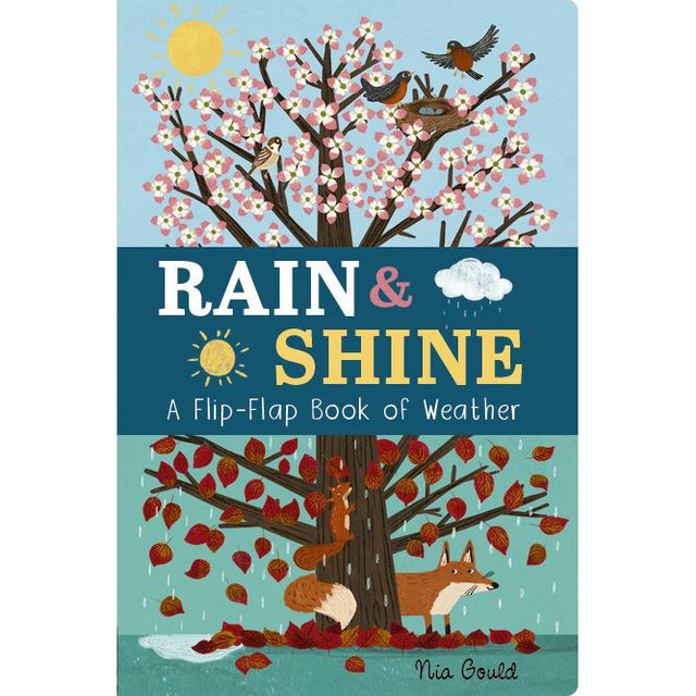 Rain And Shine: A Flip Flap Book of Weather