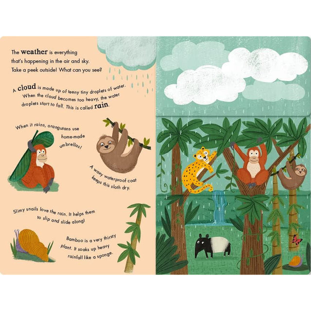 Rain And Shine: A Flip Flap Book of Weather