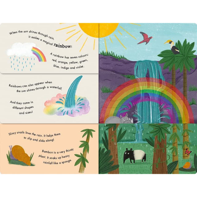 Rain And Shine: A Flip Flap Book of Weather
