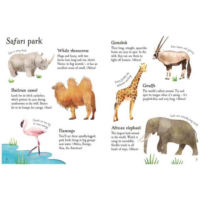 Usborne Minis: Zoo Animals To Spot