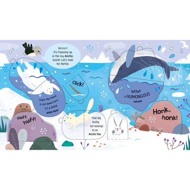 Look And Find Animals