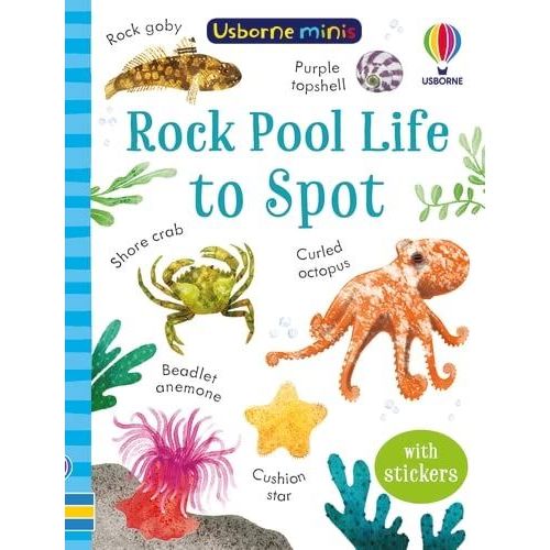 Usborne Minis: Rock Pool Life To Spot