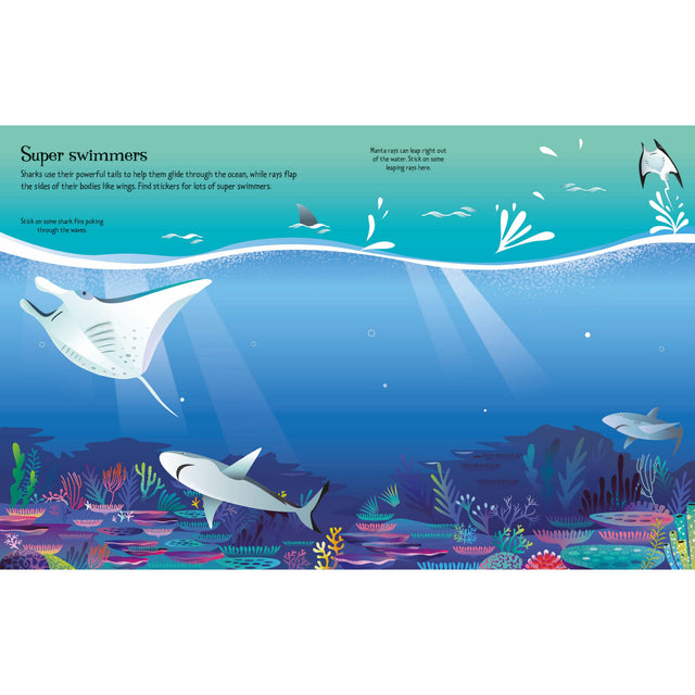 First Sticker Book: Sharks & Rays