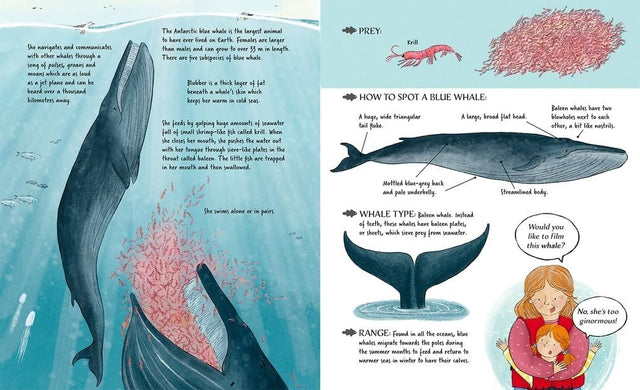 Meet The Whales