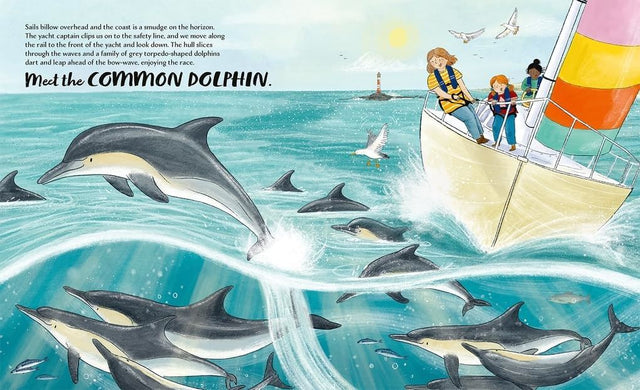 Meet The Whales