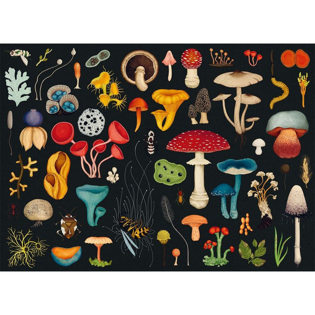 Fungarium 1000 Piece Jigsaw Puzzle