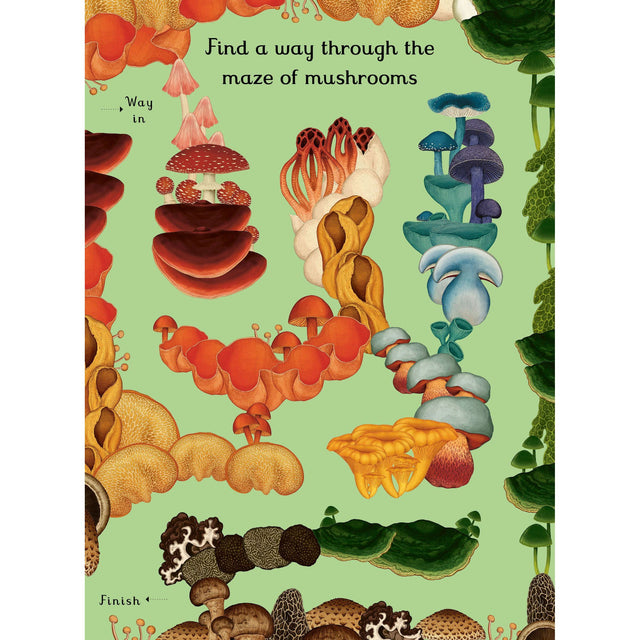 Fungarium Activity Book