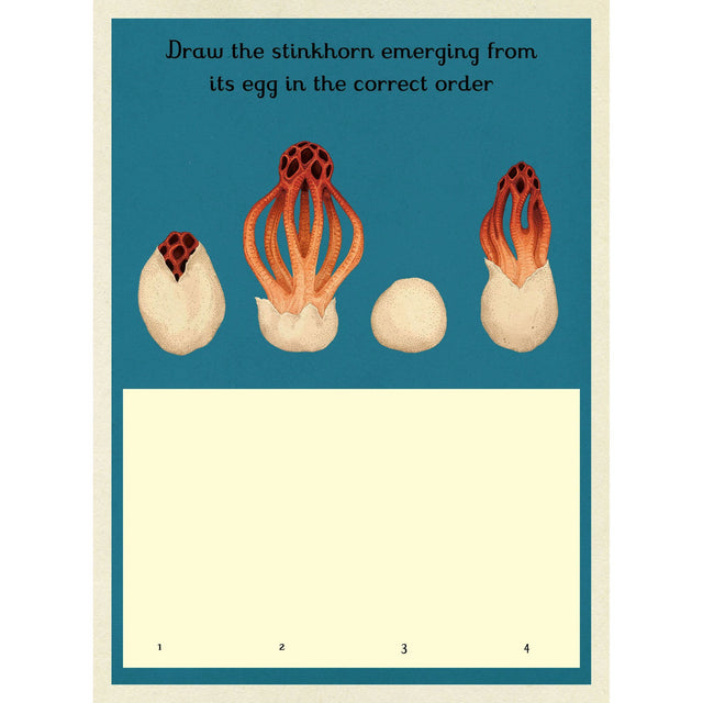 Fungarium Activity Book