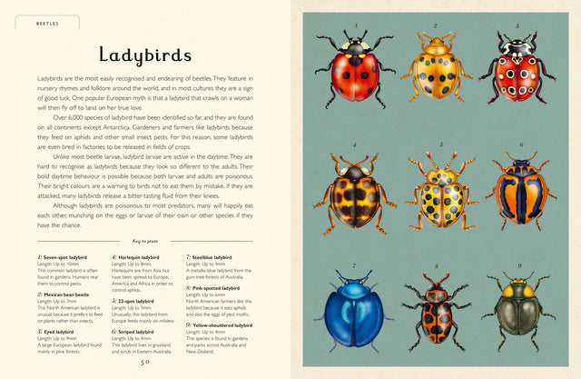 Insectarium Junior Edition