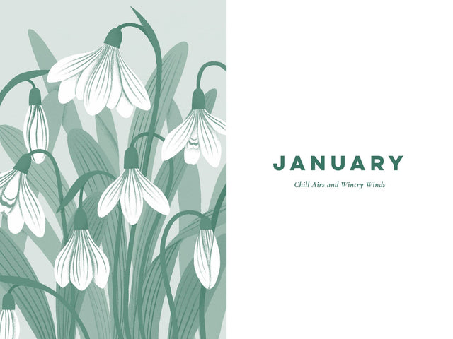 Nature Poem For Everyday Of The Year