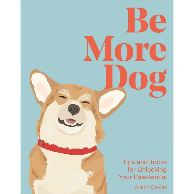 Be More Dog
