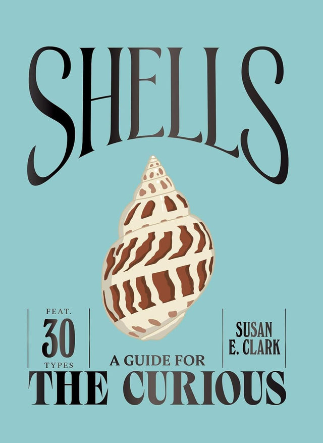 Shells: A Guide For The Curious