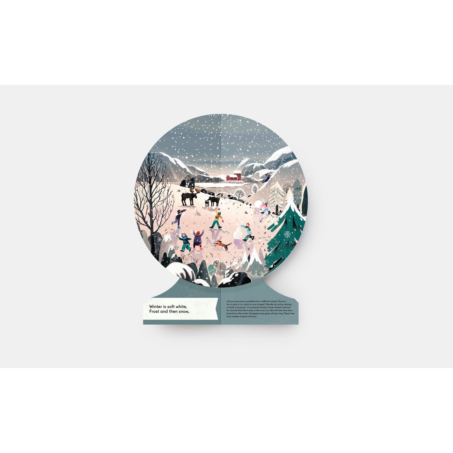 Our Seasons: The World In Winter Summer Autumn & Spring