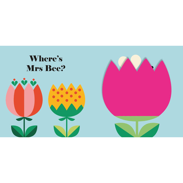 Where's Mrs Lady Bird Buggy Book