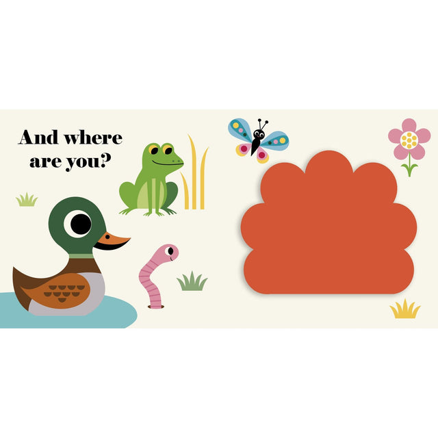 Where's Mr Duck Buggy Book