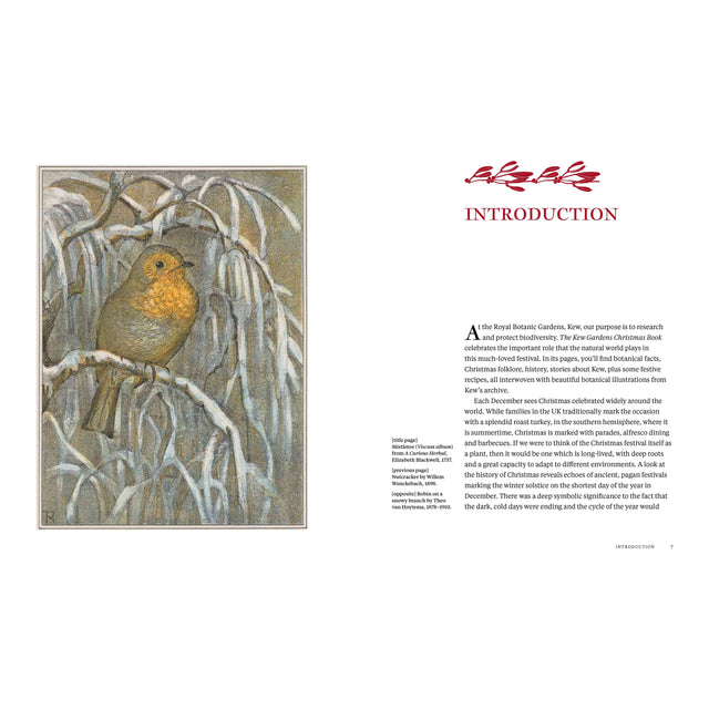 The Kew Gardens Christmas Book