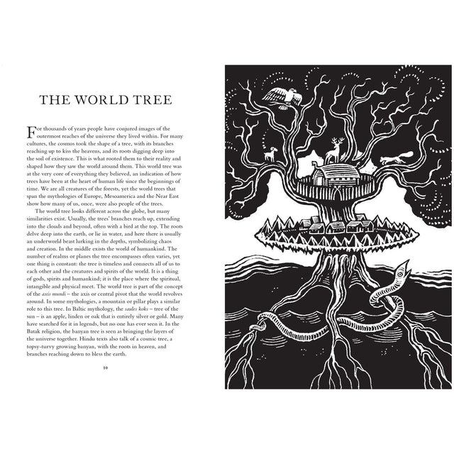 Treasury Of Folklore Woodlands And Forests