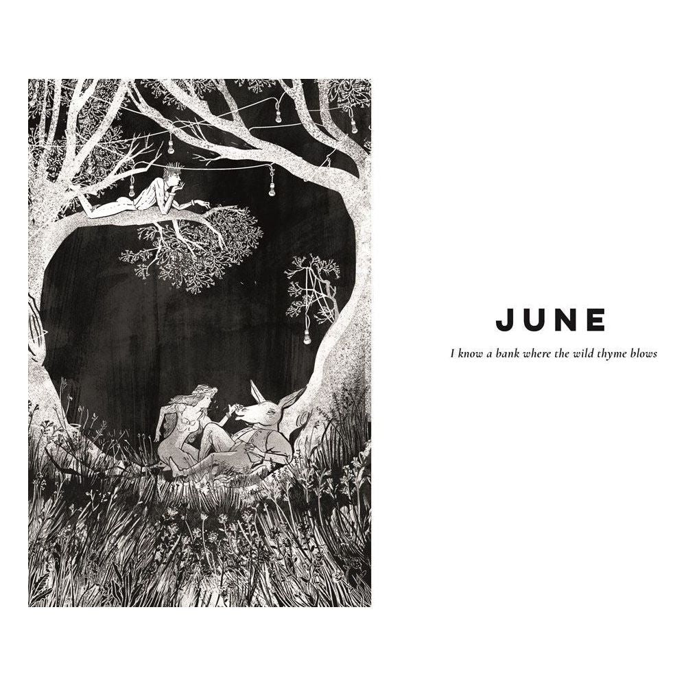 Shakespeare For Every Night Of The Year