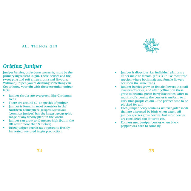 The Little Book Of Gin