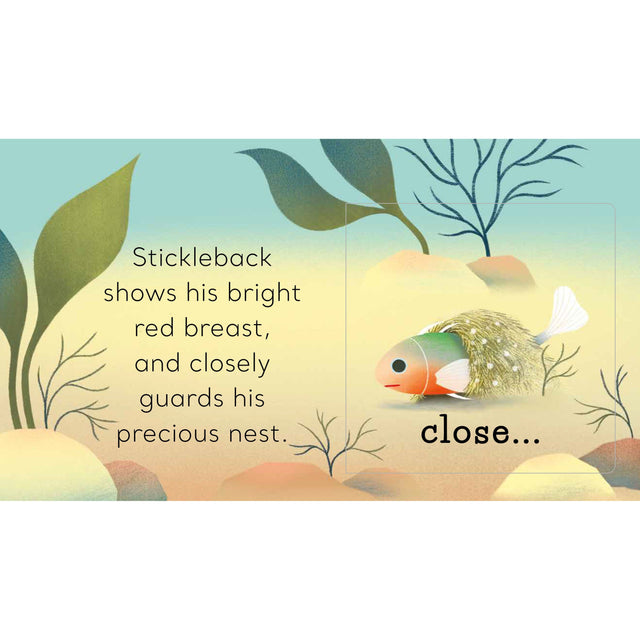 In The Pond 3 Step Stories