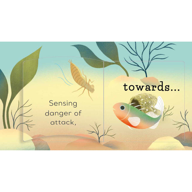 In The Pond 3 Step Stories