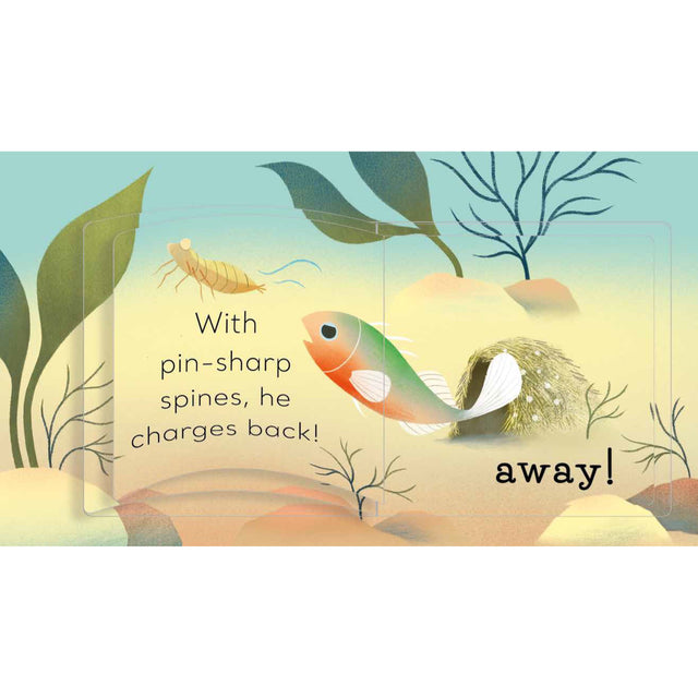 In The Pond 3 Step Stories