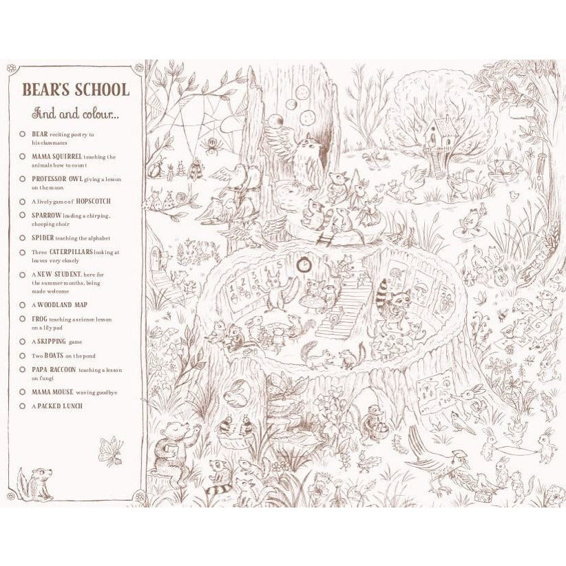 Brown Bear Wood Colouring And Spotting Book