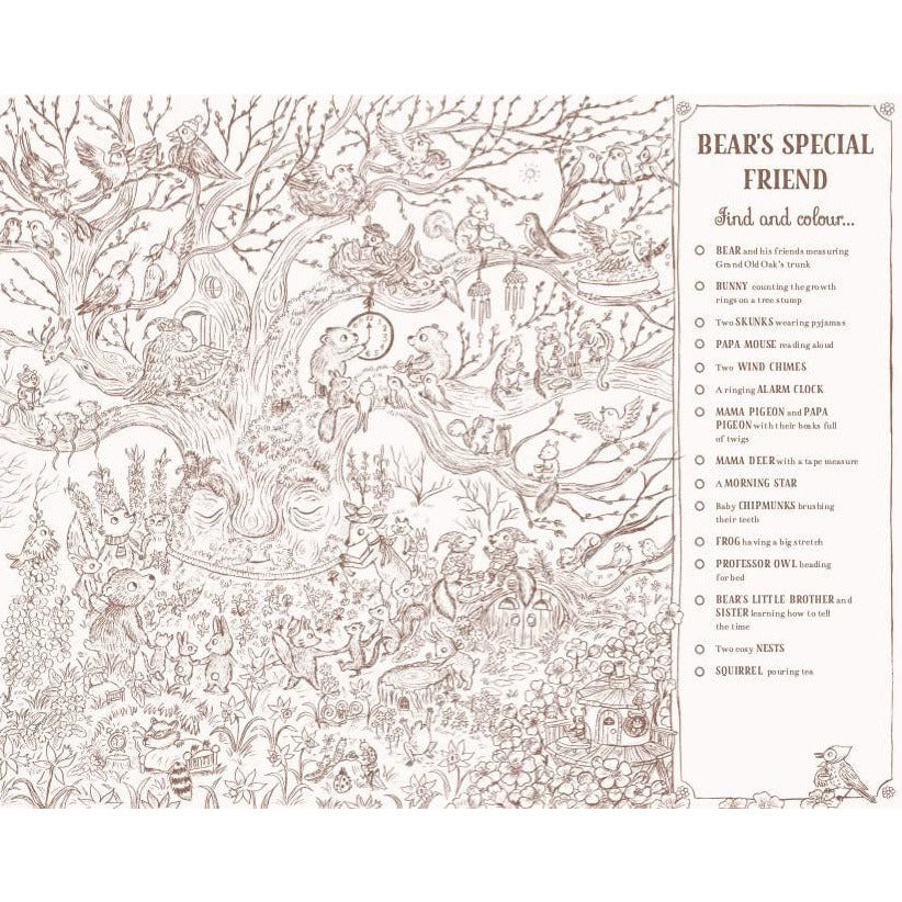 Brown Bear Wood Colouring And Spotting Book