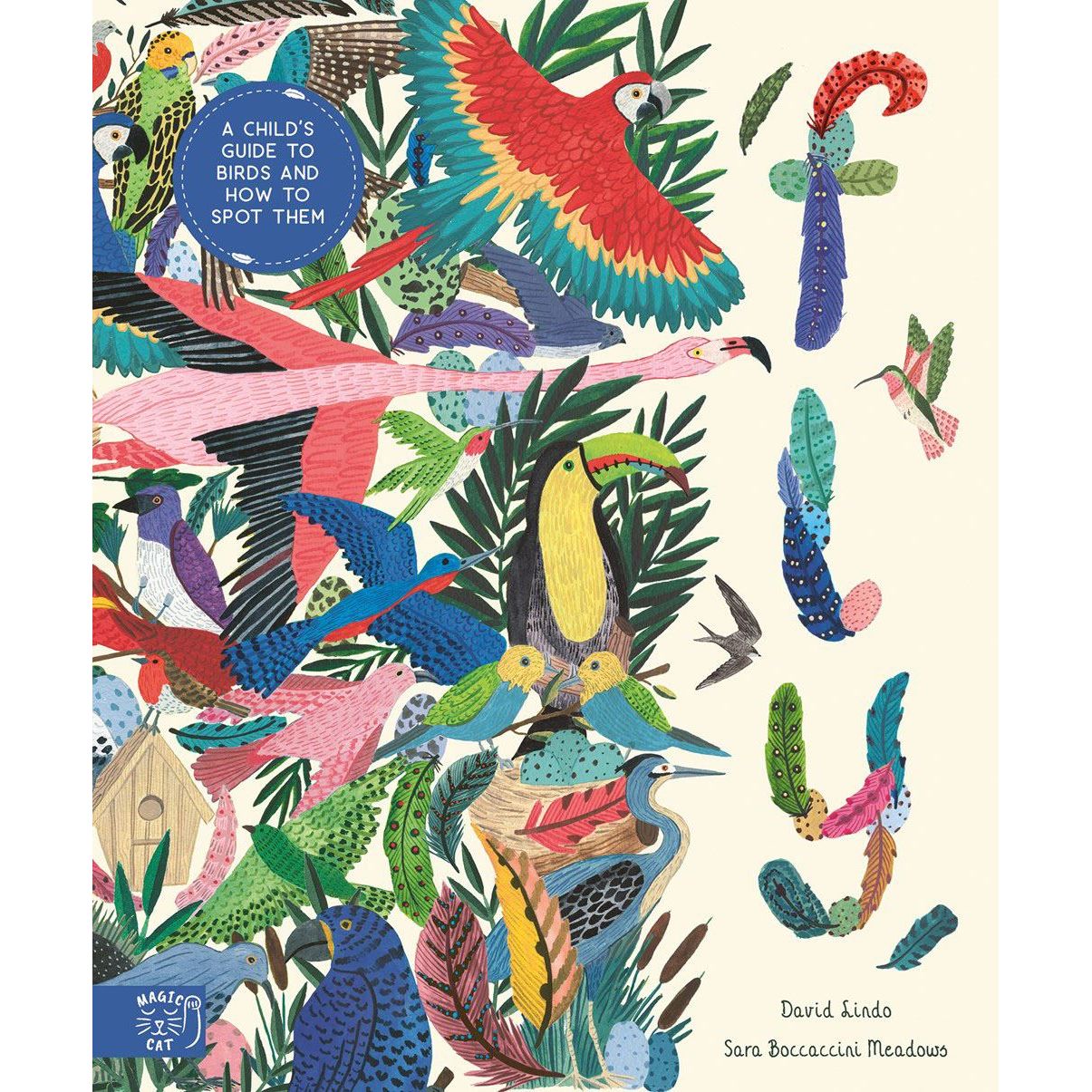 Fly: A Child's Guide To Birds & How To Spot Them