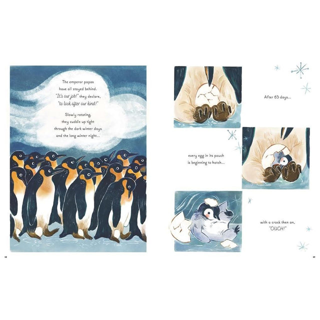 5 Minute Ocean Stories