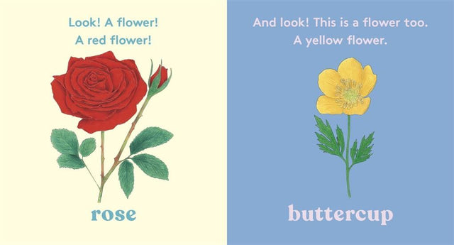 Look! A Flower