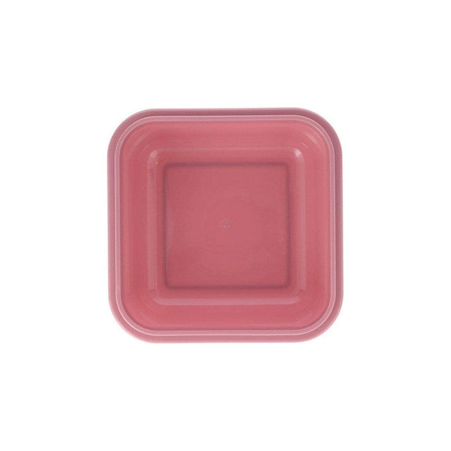 Fruits Small Lunch Box