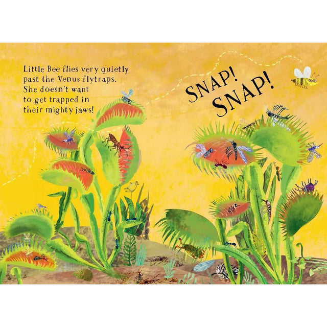 Little Bees Book Of Blooms