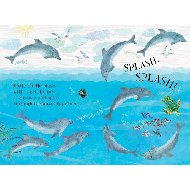 Little Turtles Book Of The Blue