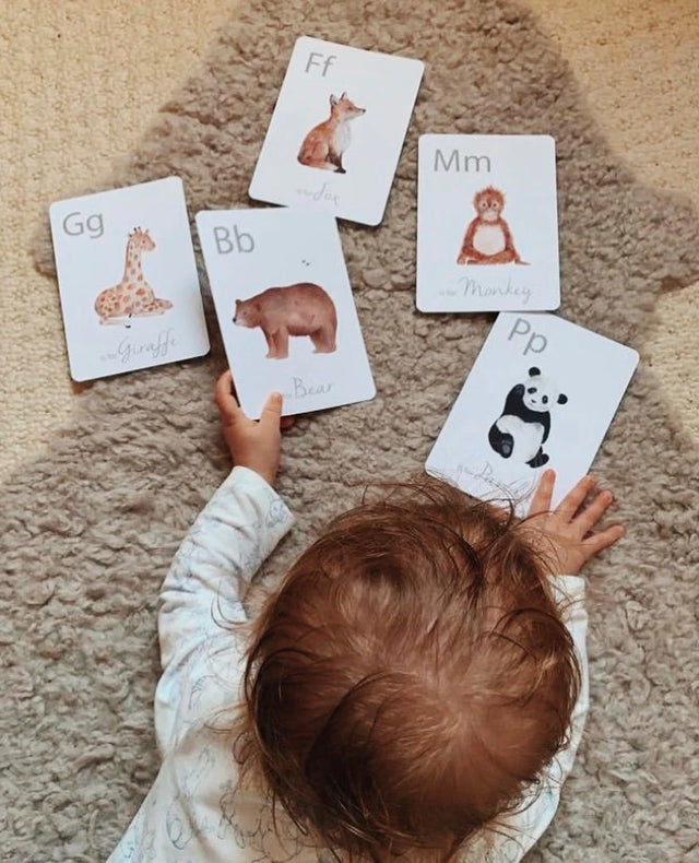Animal Alphabet Flashcards