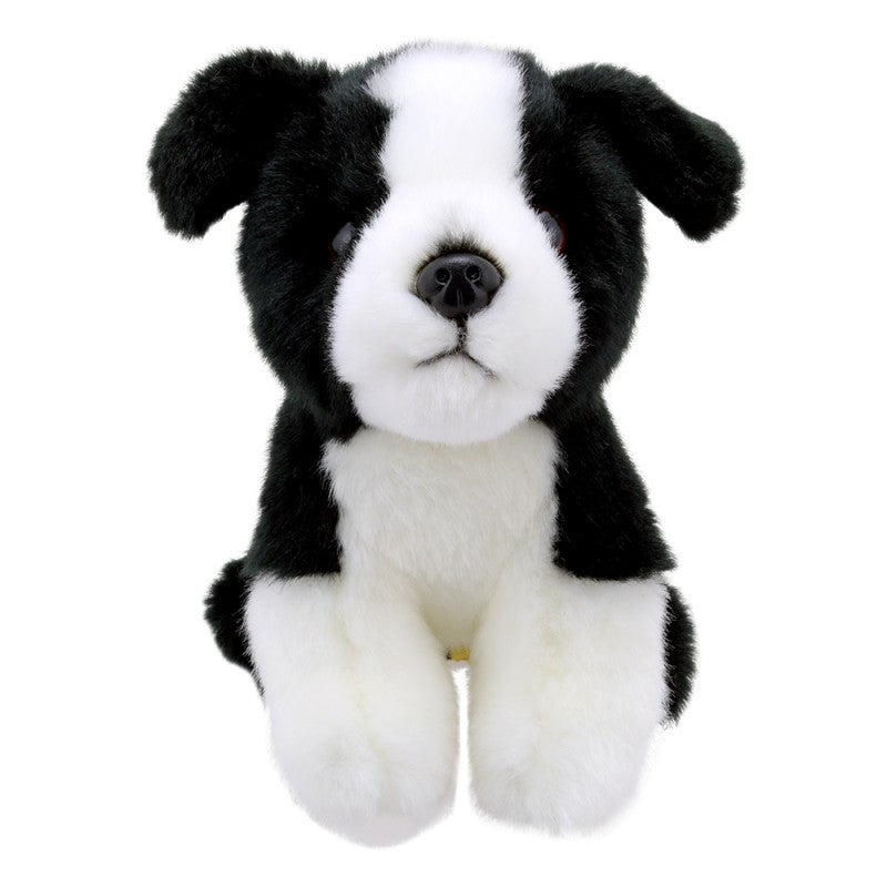 Little Border Collie Soft Toy