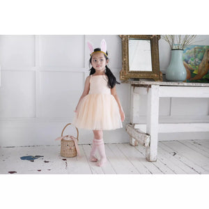 Soft Apricot Ballet Dress