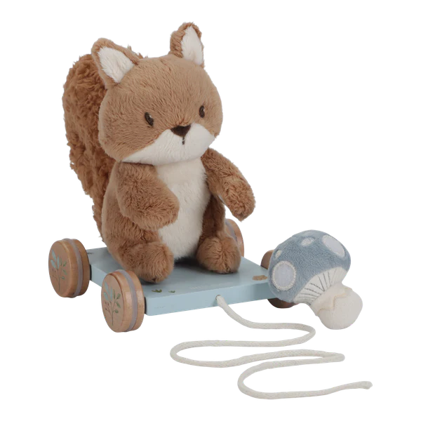Pull Along Soft Squirrel