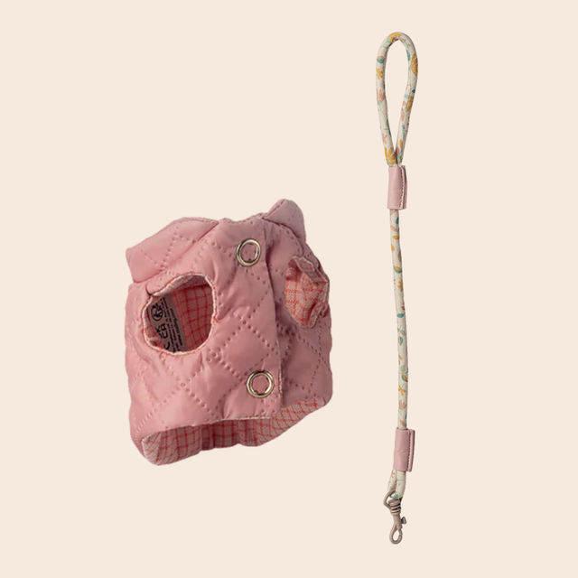 Rose Pet Harness & Leash