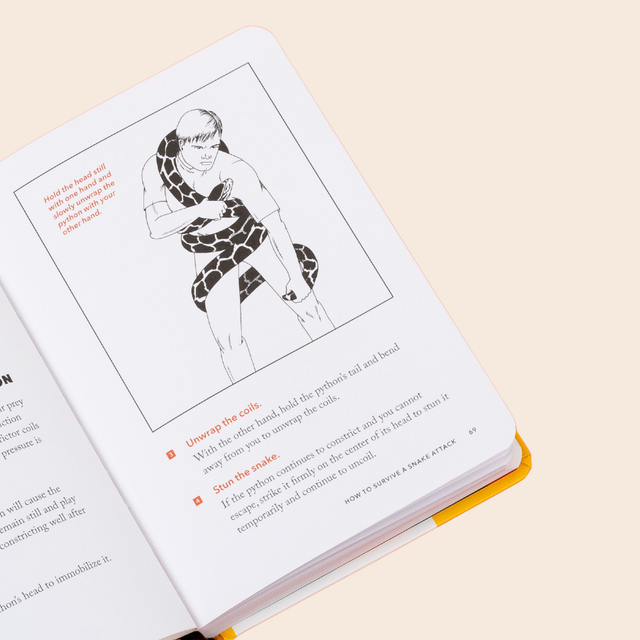 Worst Case Scenario Survival Handbook