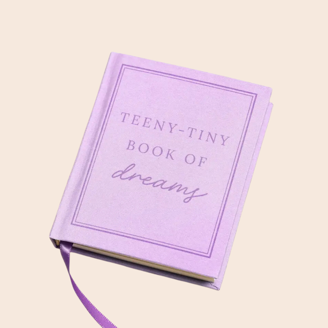 Teeny Tiny Book of Dreams