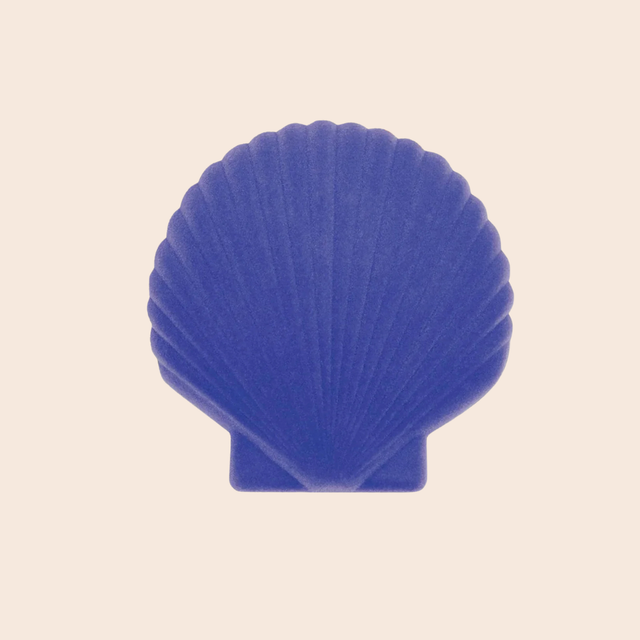 Purple Venus Shell Jewellery Box